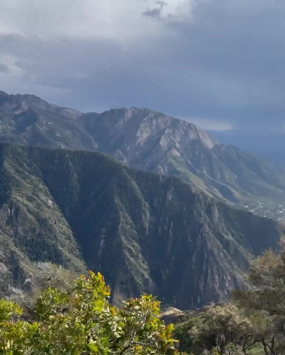 充实的生活🌞戈贝尔晒照：山顶美景、完美身材、海贼王卡牌